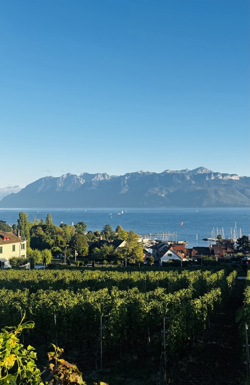 Appartamento di 1 ½ locali, foto 5 di 6