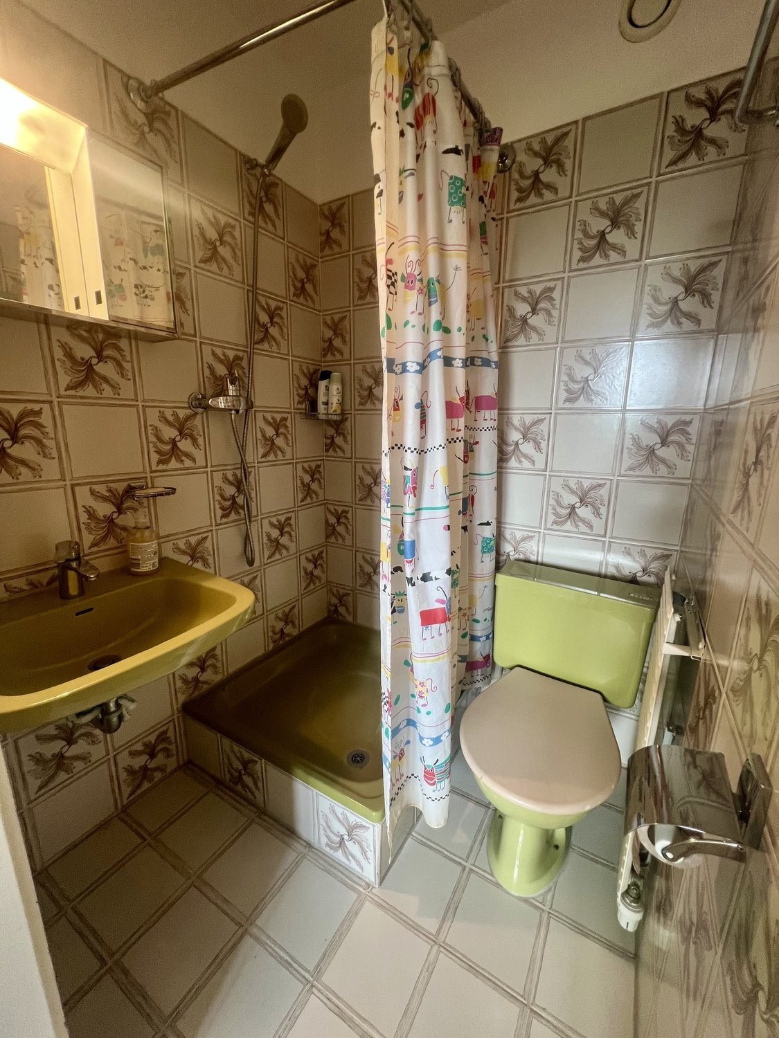 Appartamento di 2 ½ locali