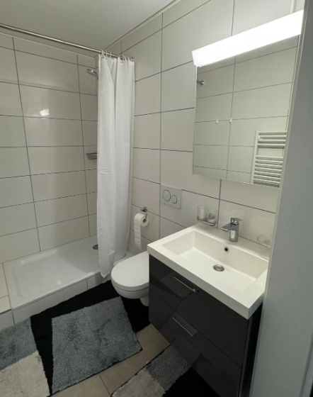Appartamento di 2 ½ locali, foto 6 di 10