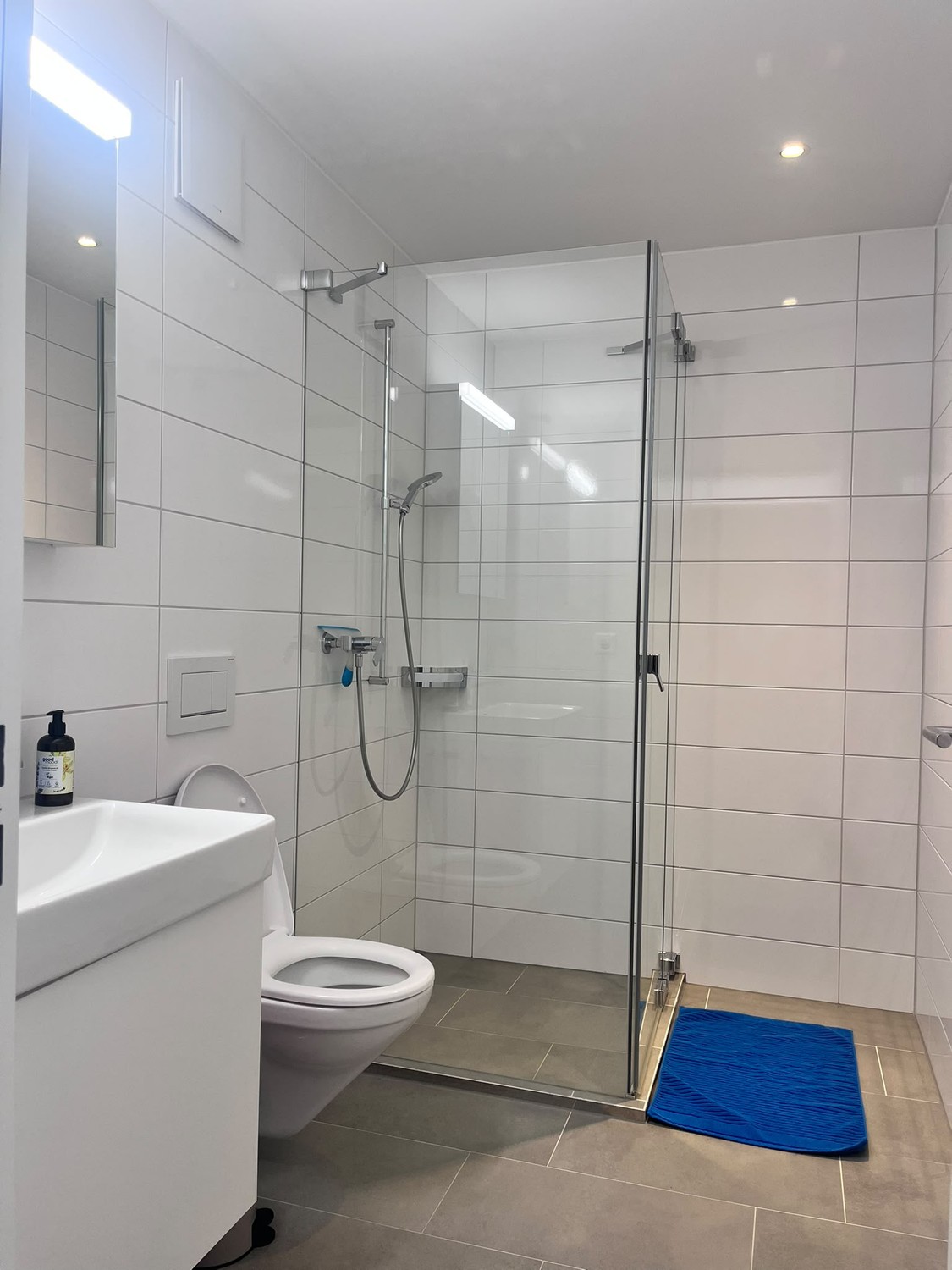 1 ½ Zimmer-Apartment