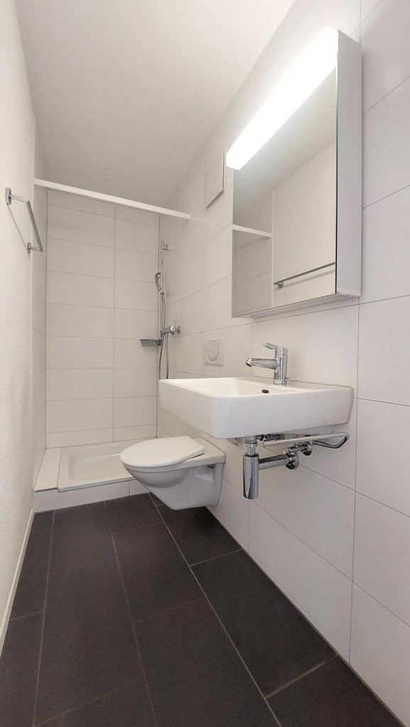 Appartamento di 3 ½ locali, foto 3 di 10