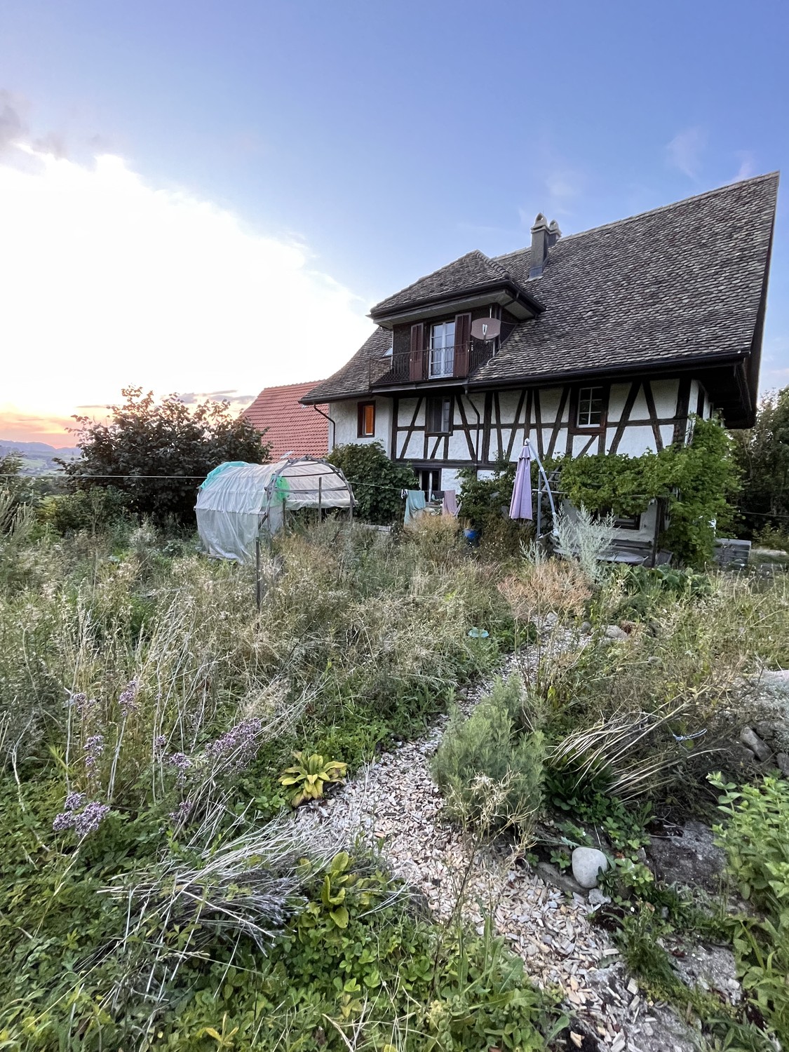 Stanza in un appartamento condiviso