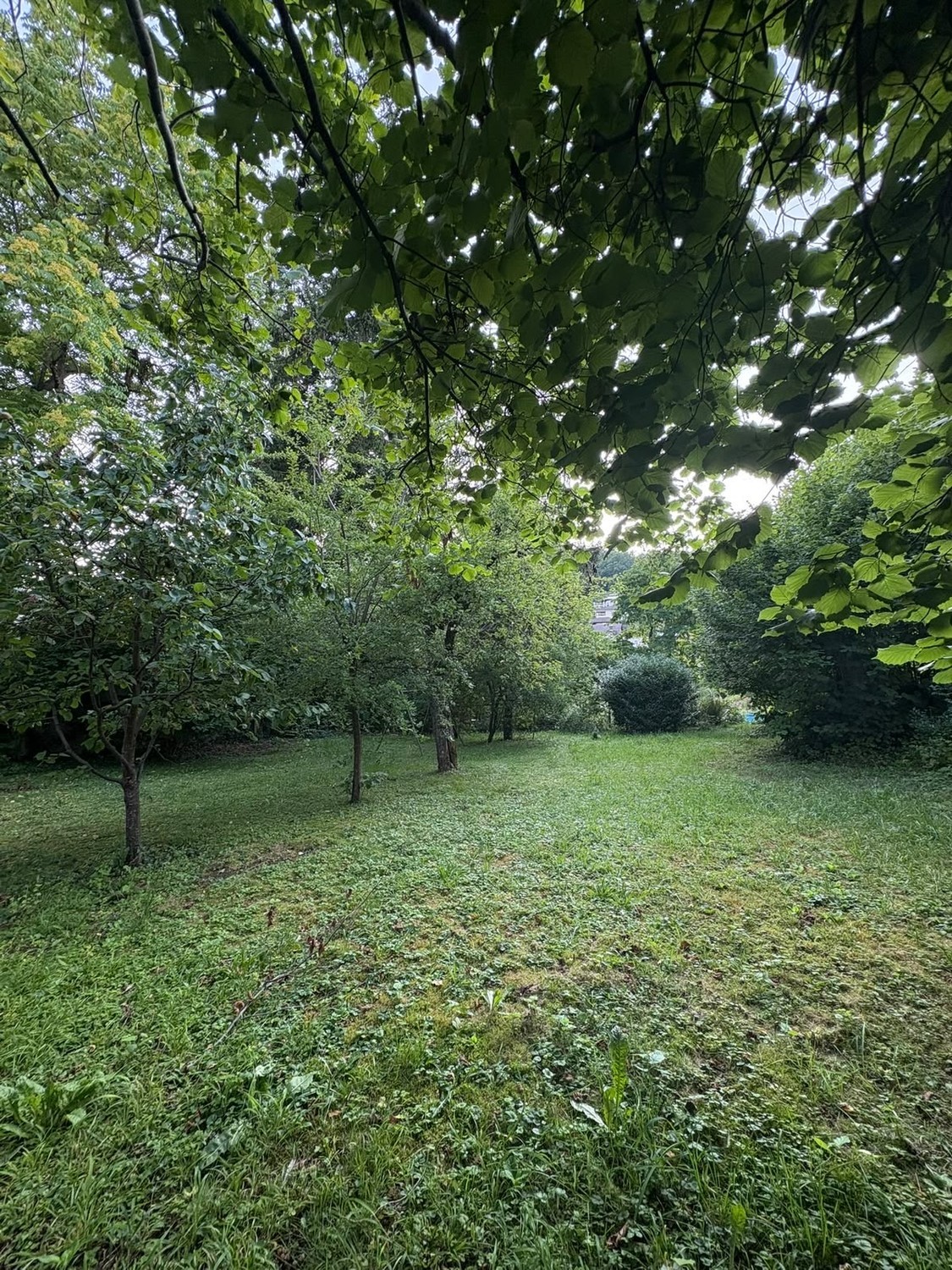 Stanza in un appartamento condiviso, foto 6 di 9