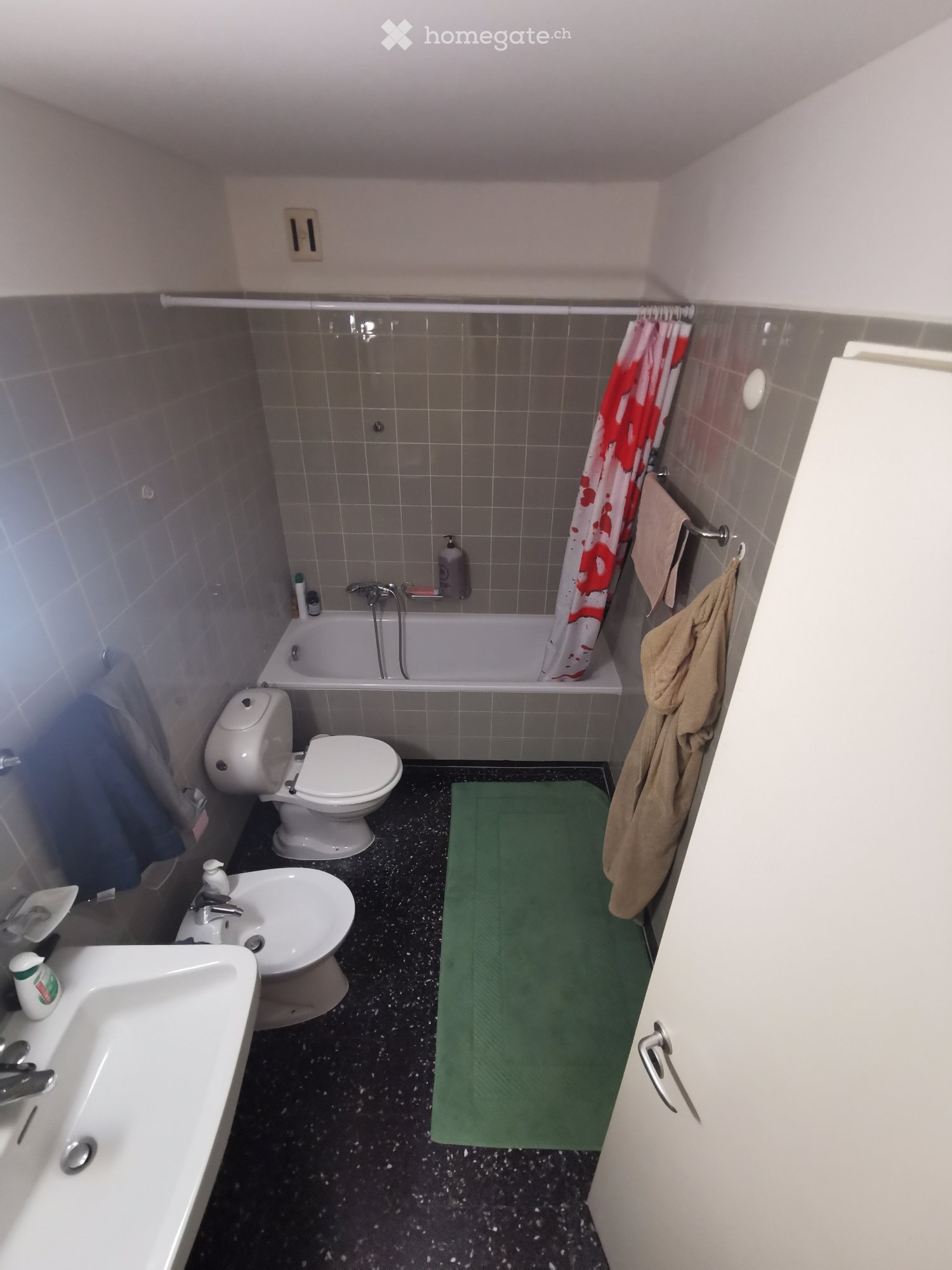 2 ½ rooms apartment