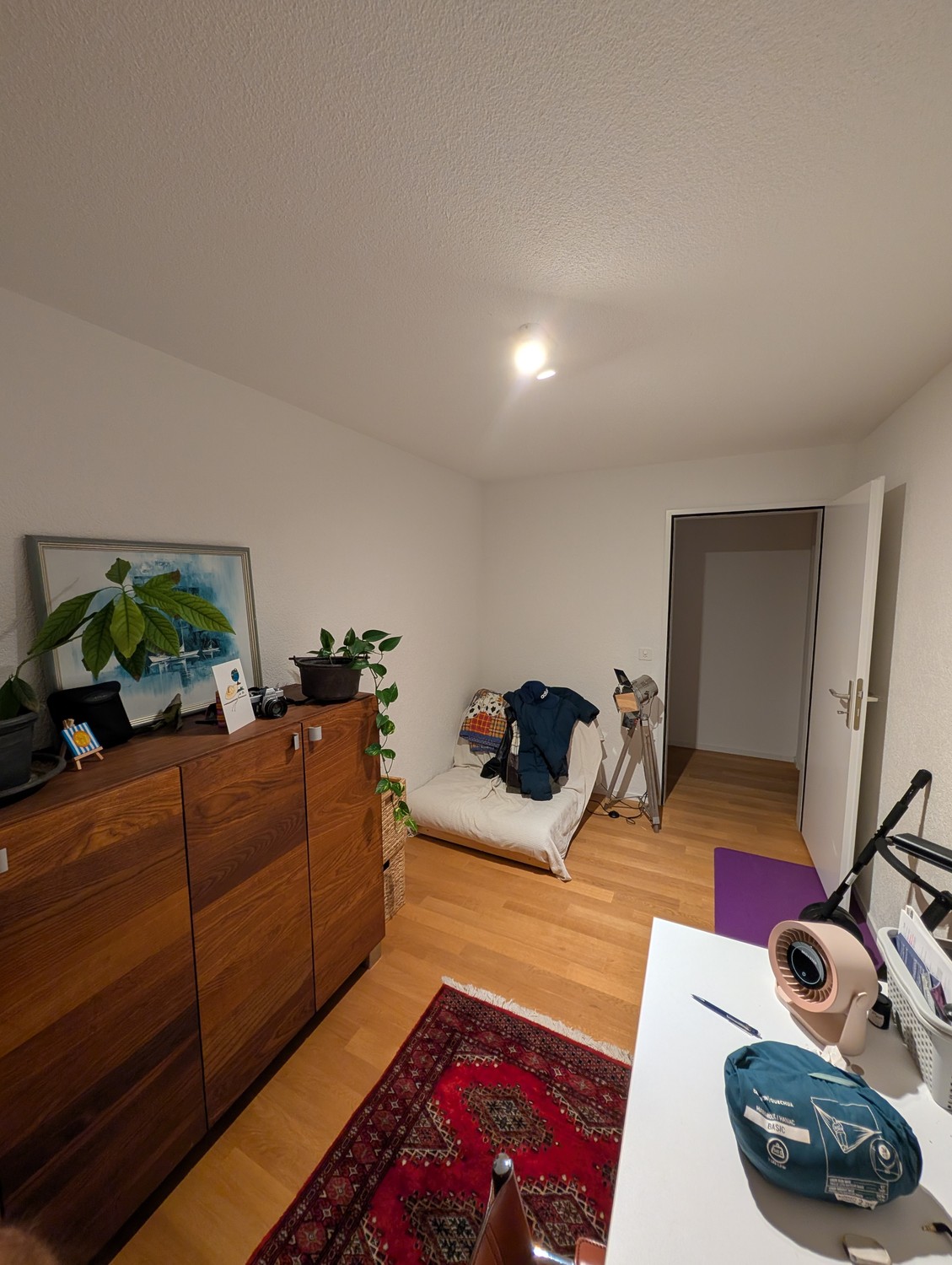 Room in a shared flat