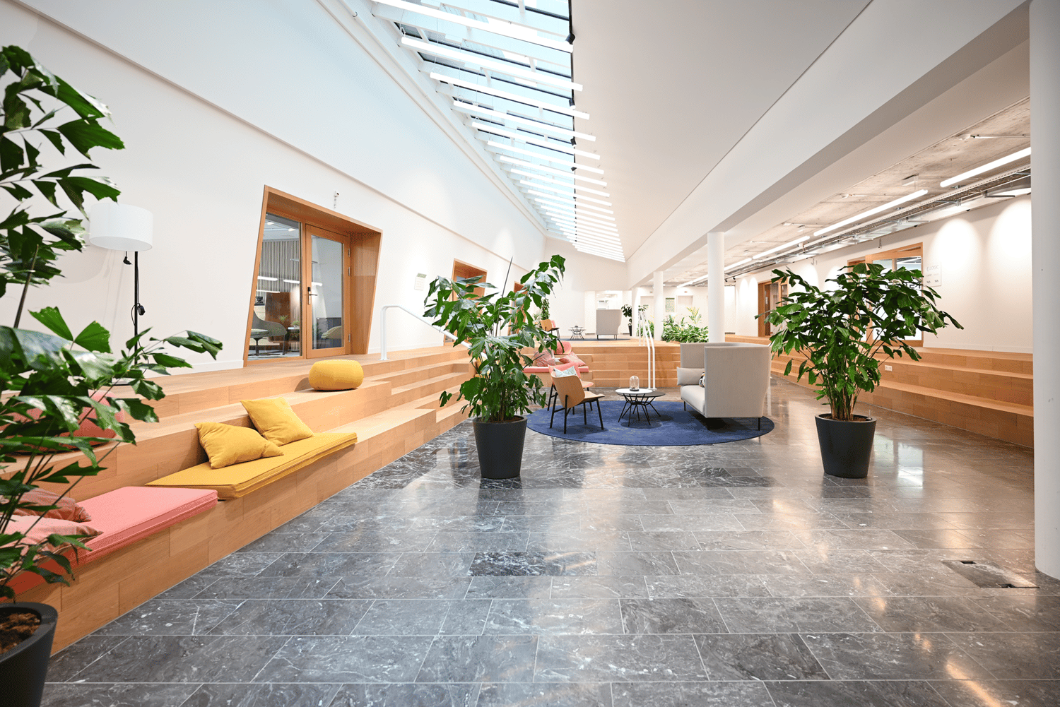 244m² office
