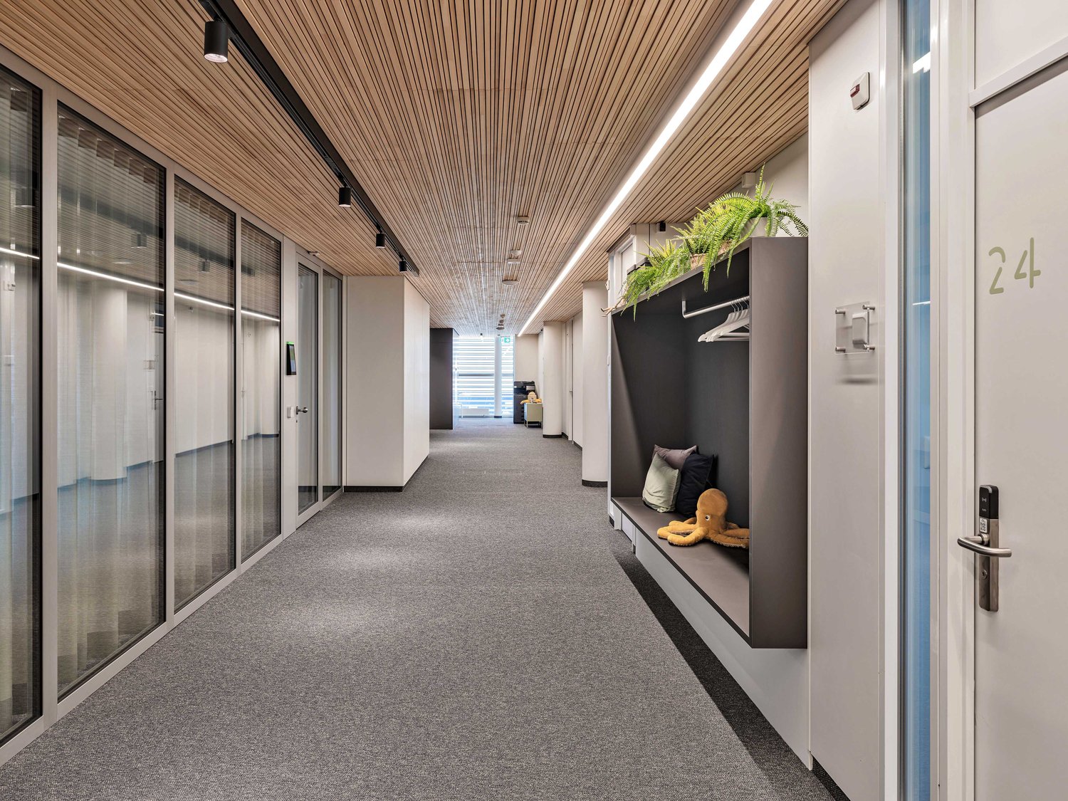 244m² office