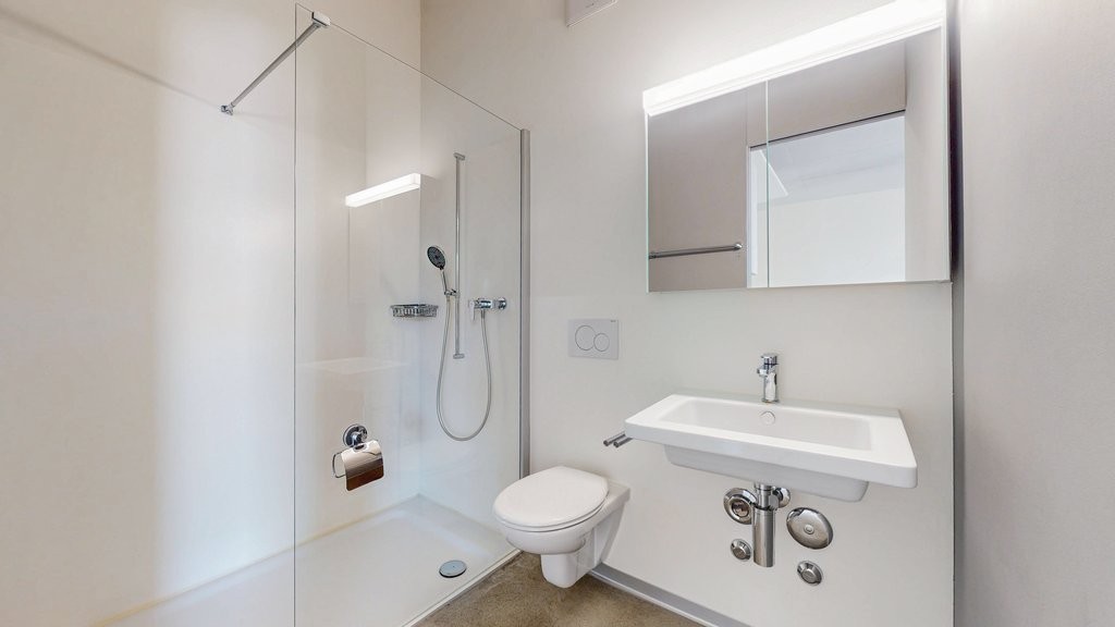 loft di 2 locali