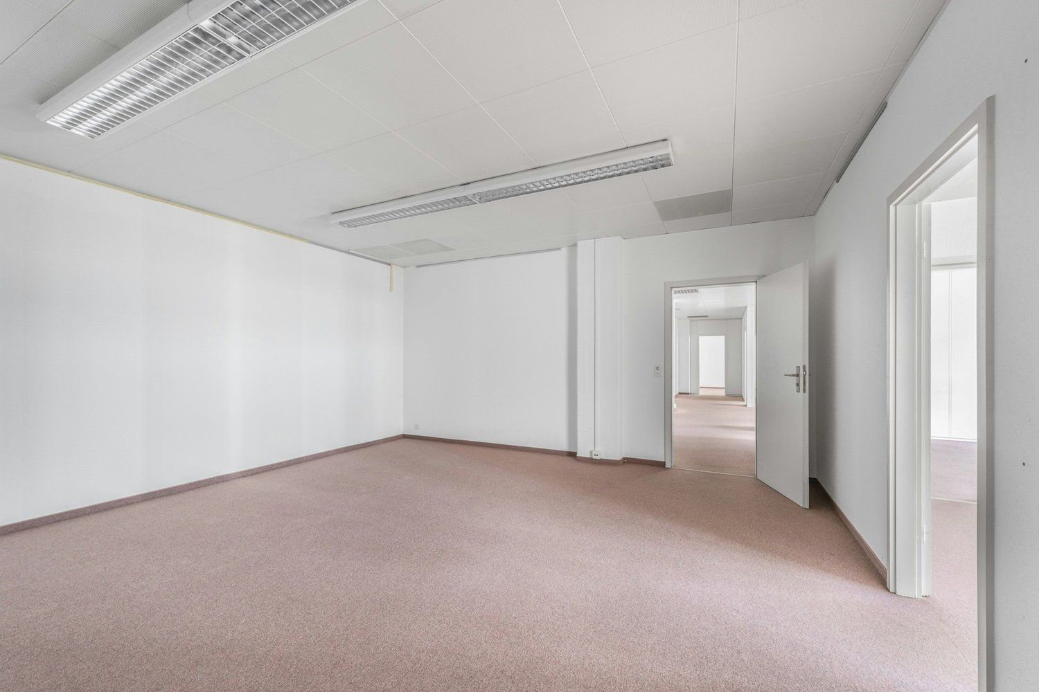 291m² commerciale