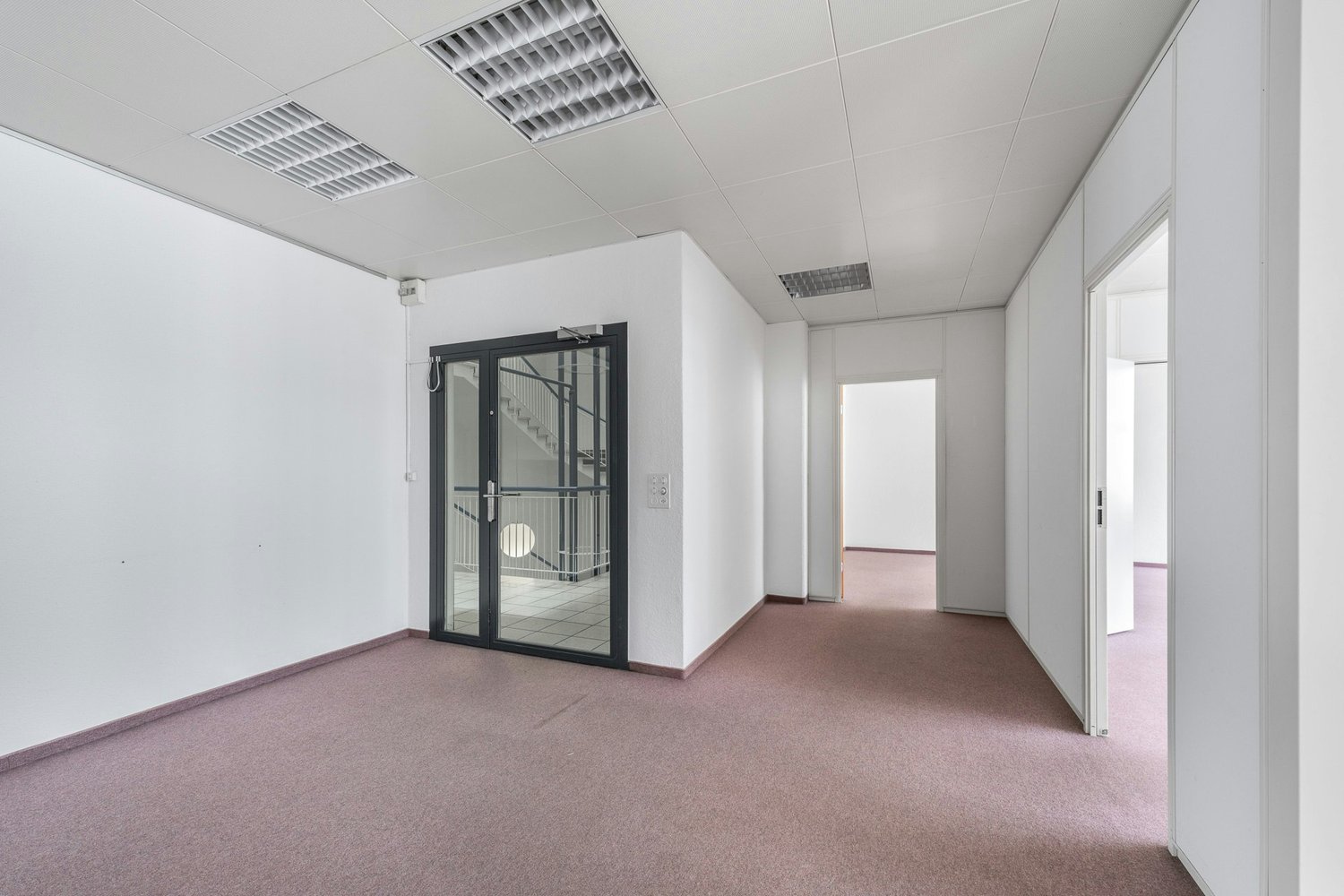 291m² commerciale