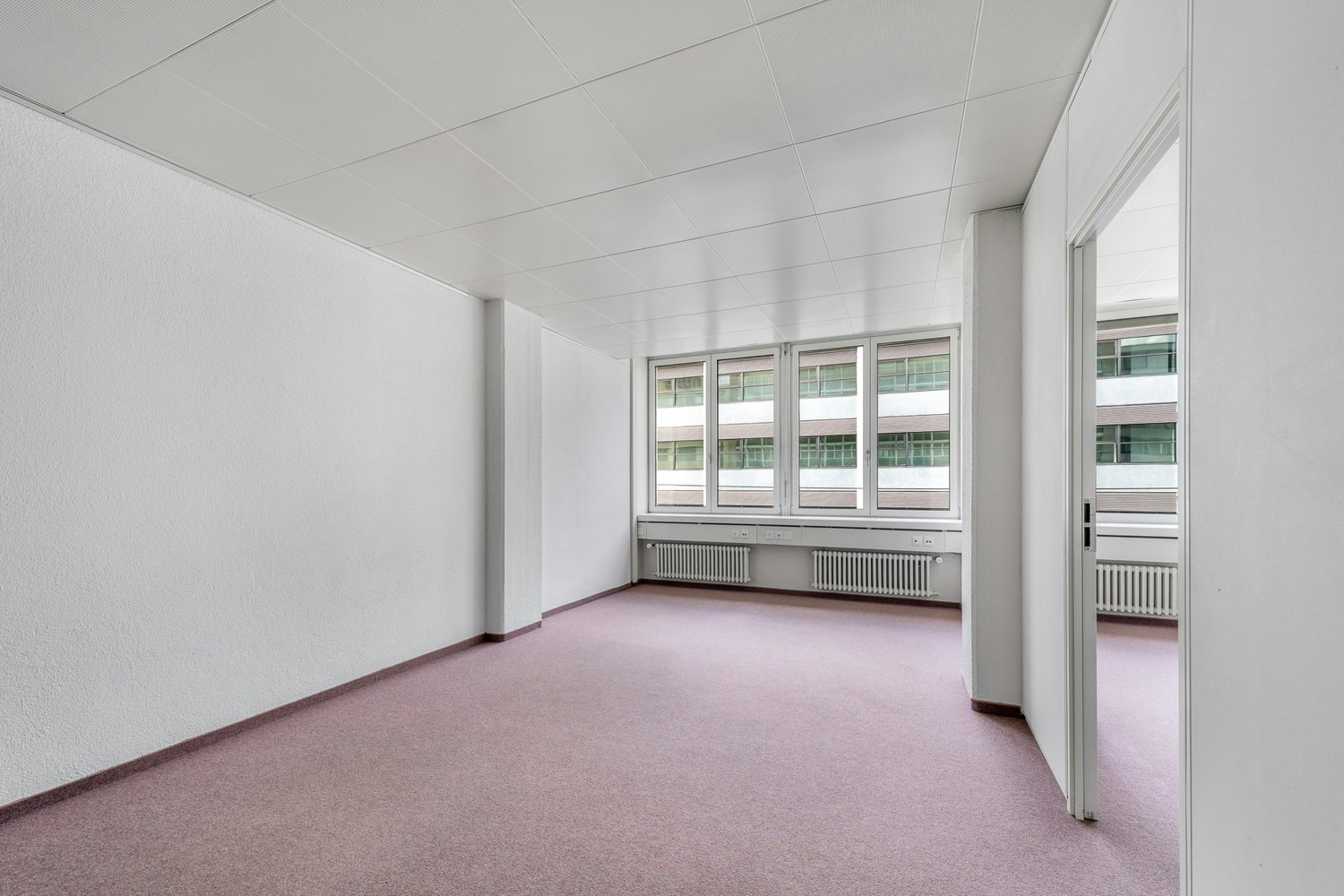 291m² commerciale