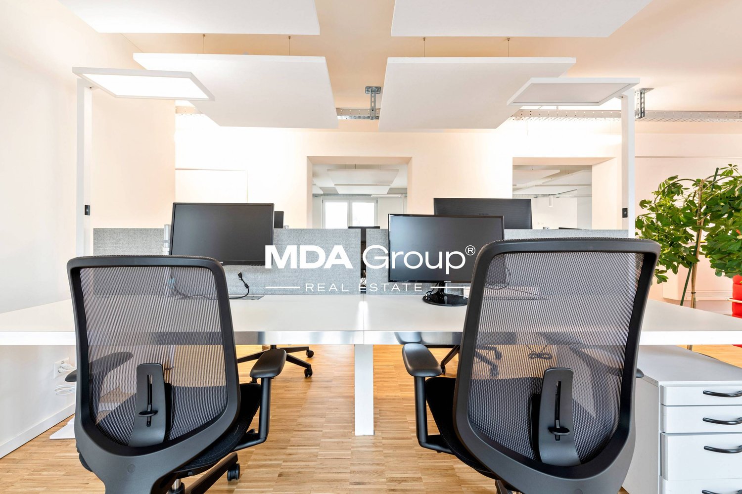 1250m² office