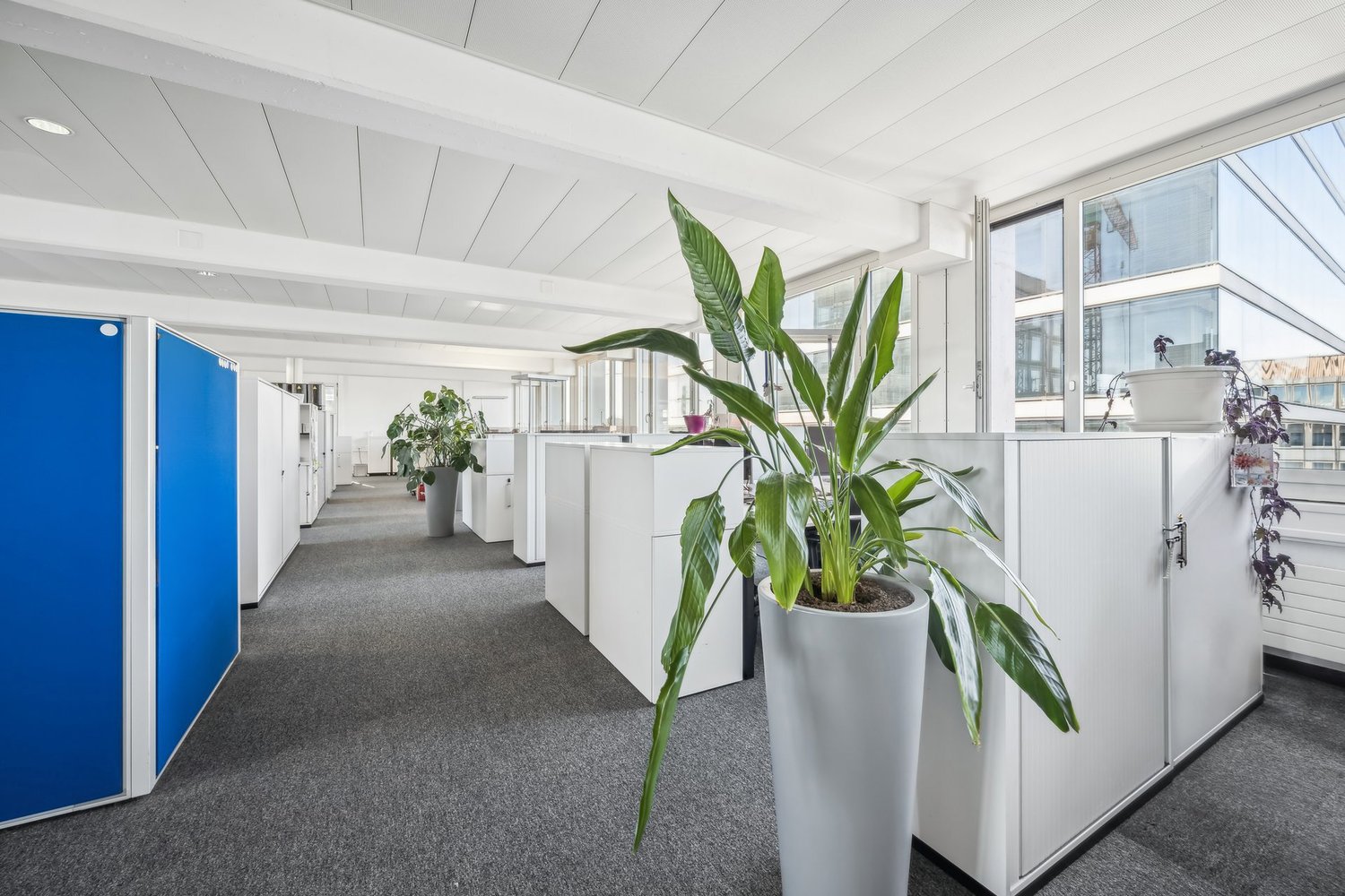 405m² ufficio