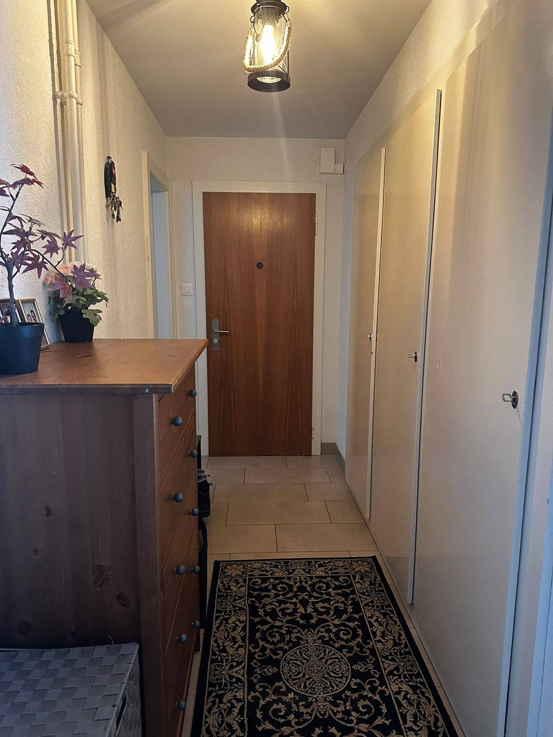Appartamento di 3 ½ locali