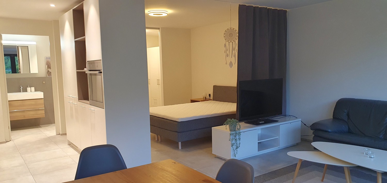 Appartamento di 1 ½ locali