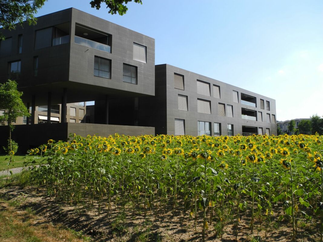 Appartamento di 2 ½ locali