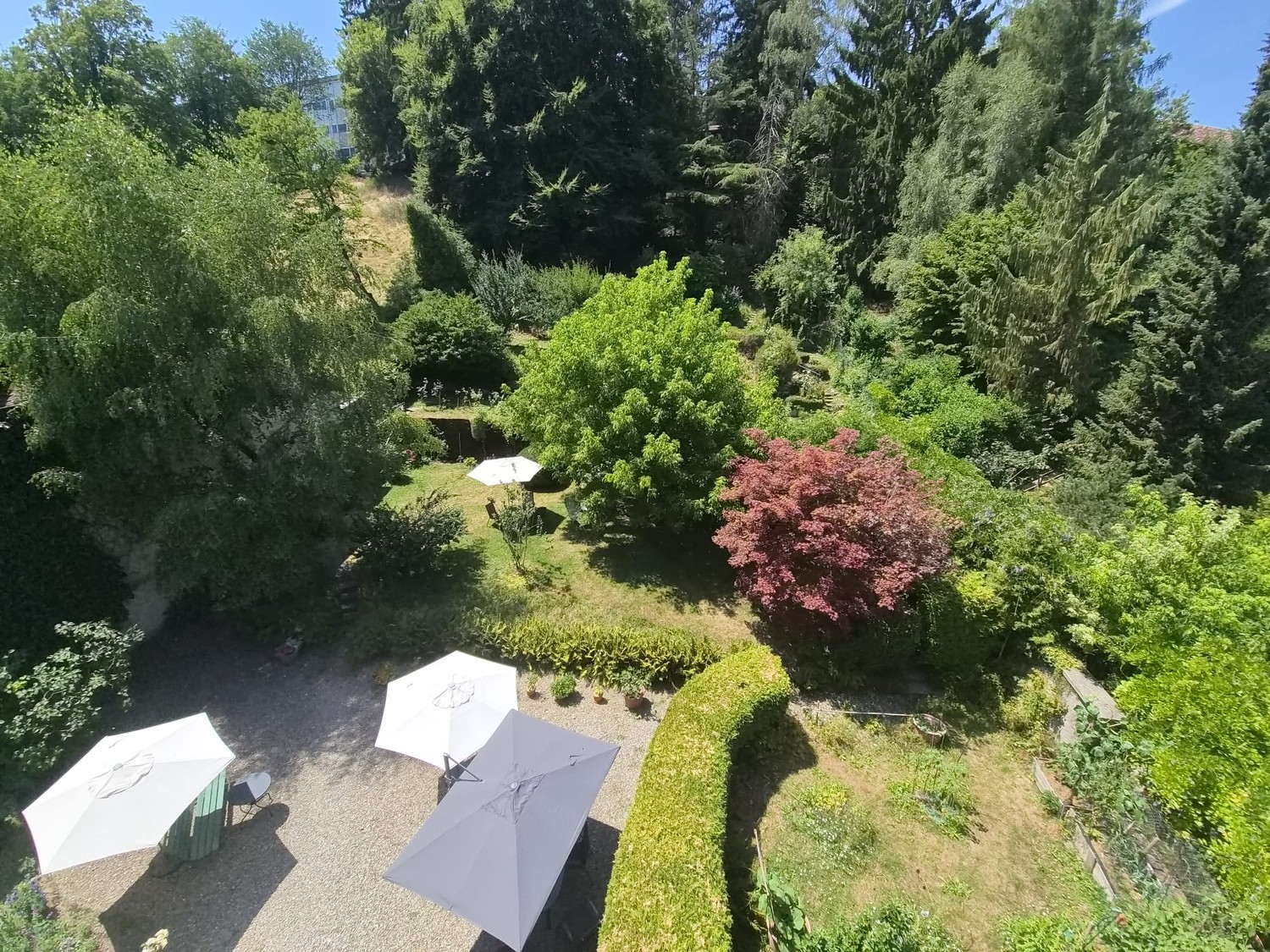 Appartamento di 2 ½ locali, foto 4 di 5