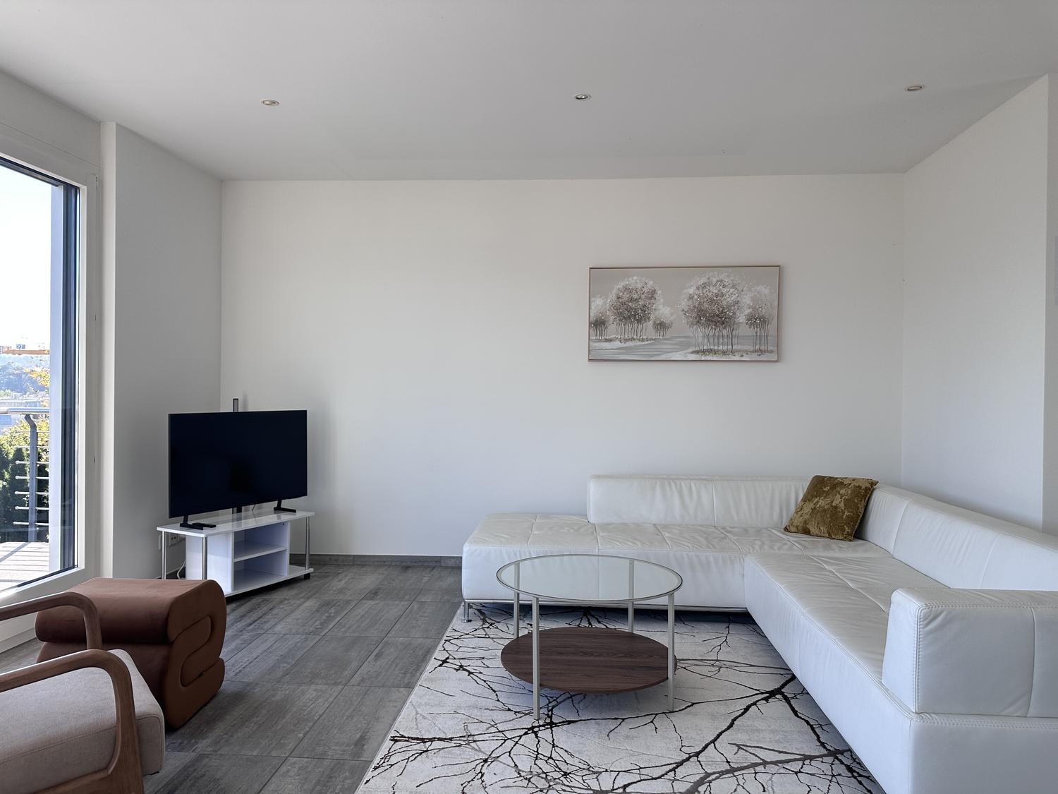Appartamento arredato di 2 ½ locali, foto 3 di 10