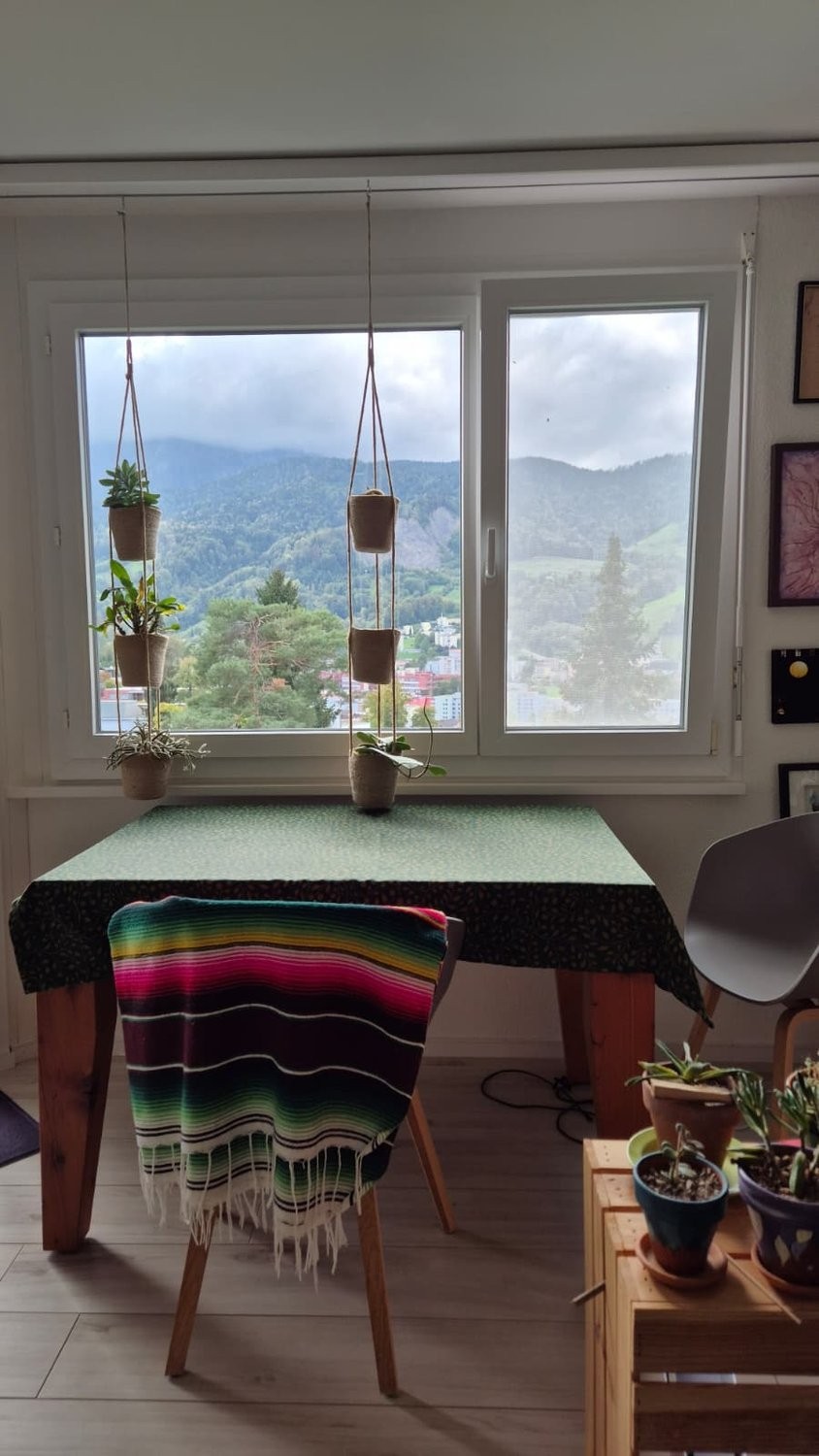 appartamento arredato di 2 ½ locali, foto 4 di 9