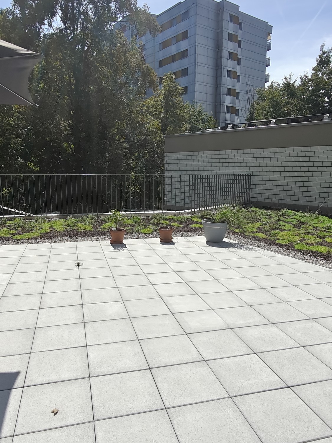 Appartamento di 3 ½ locali, foto 3 di 5