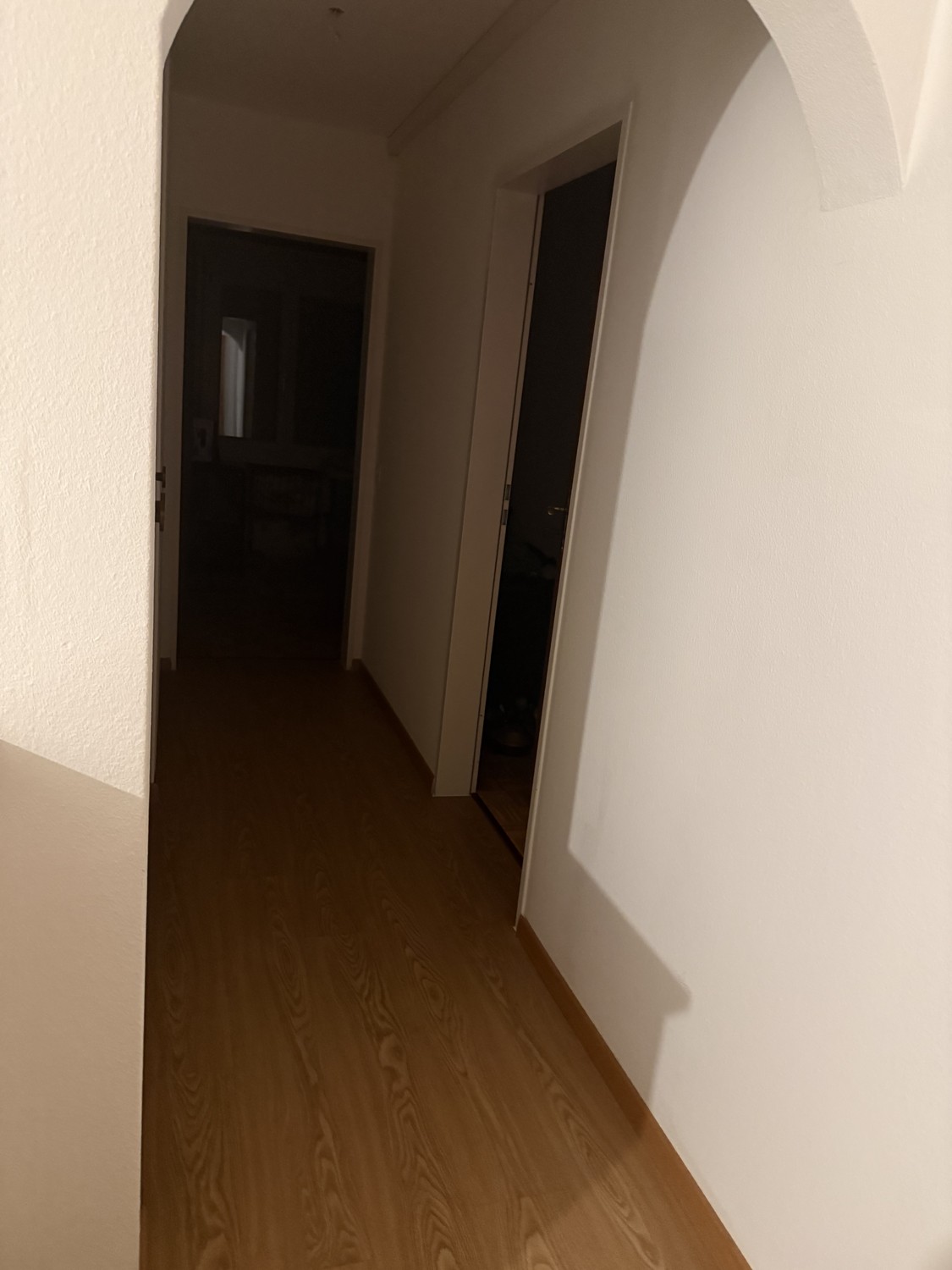 Appartamento di 3 ½ locali, foto 3 di 10