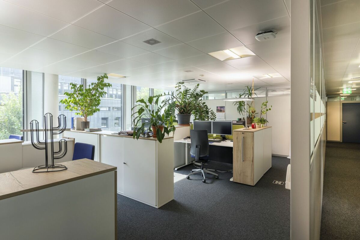 565m² ufficio