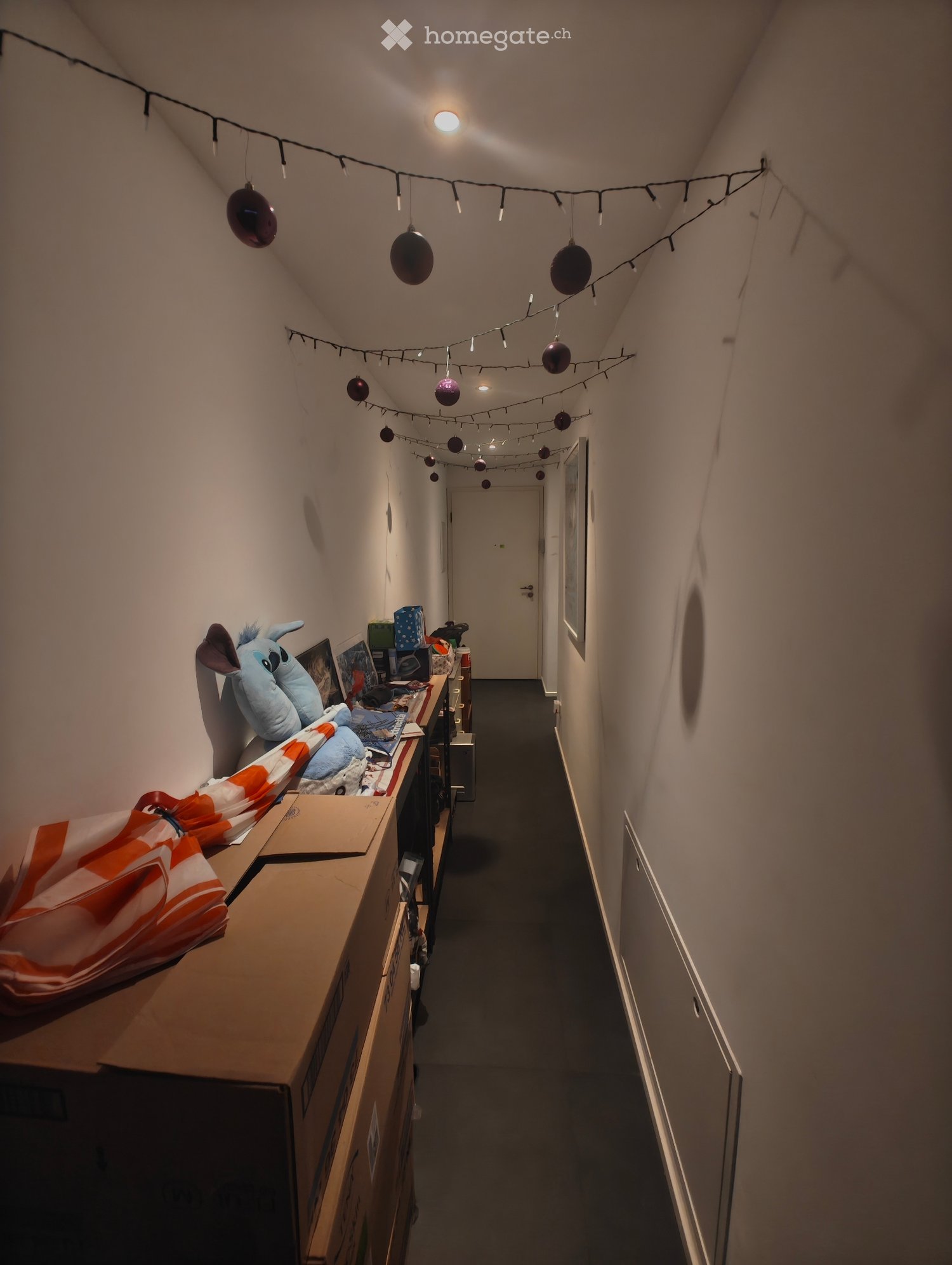 2 ½ Zimmer Wohnung