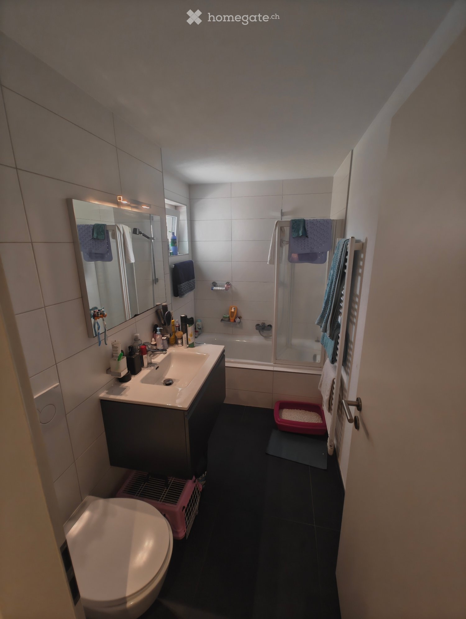 2 ½ Zimmer Wohnung