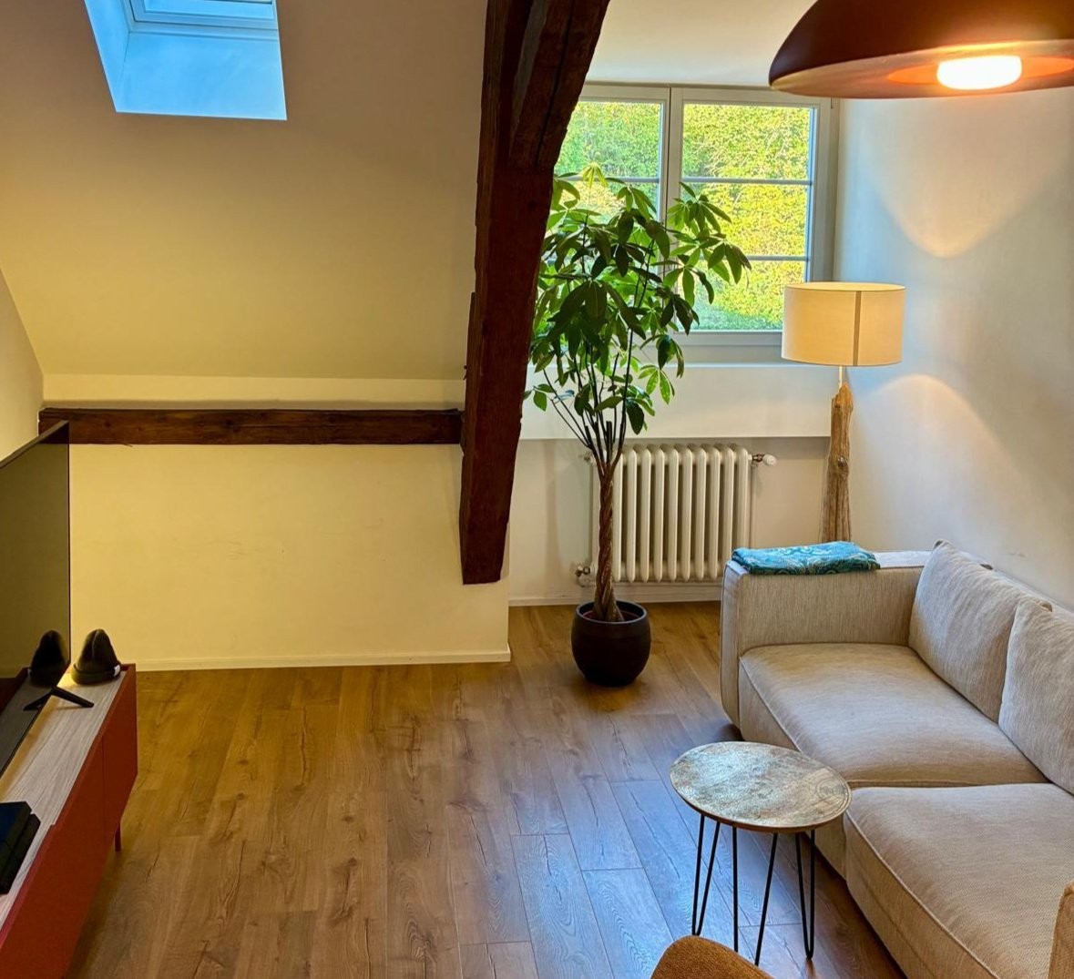 Appartamento arredato di 1 ½ locali, foto 2 di 8