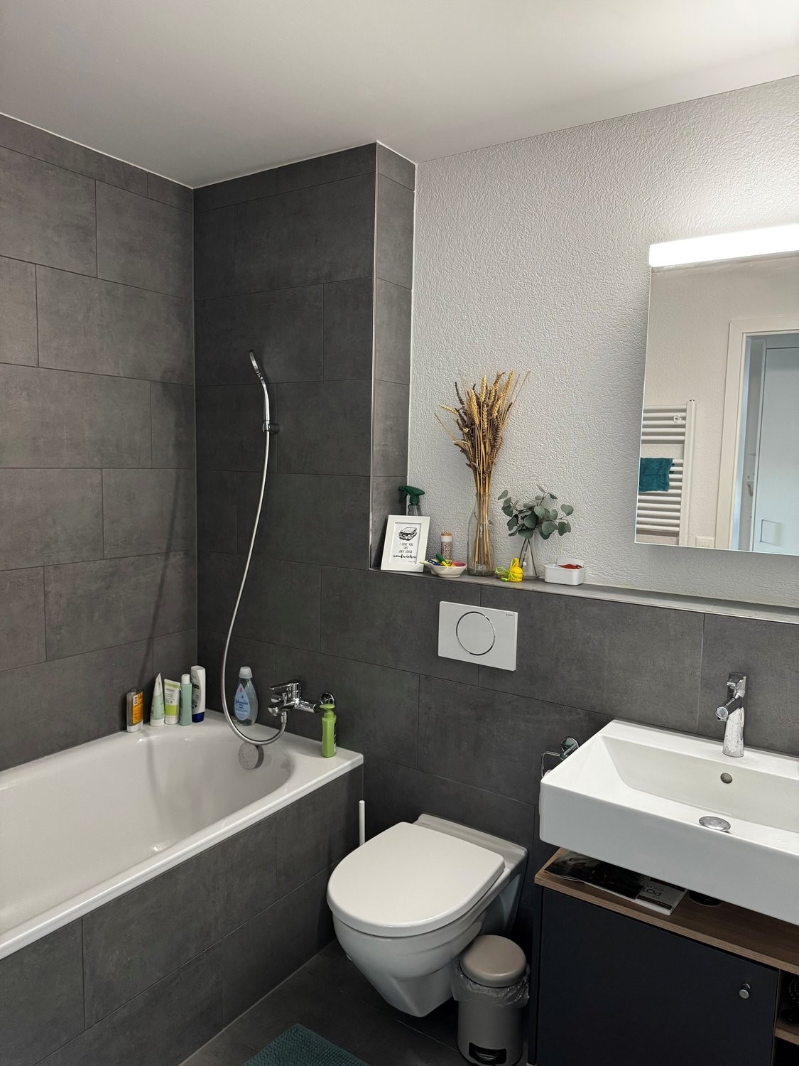 appartamento arredato di 4 ½ locali, foto 7 di 9