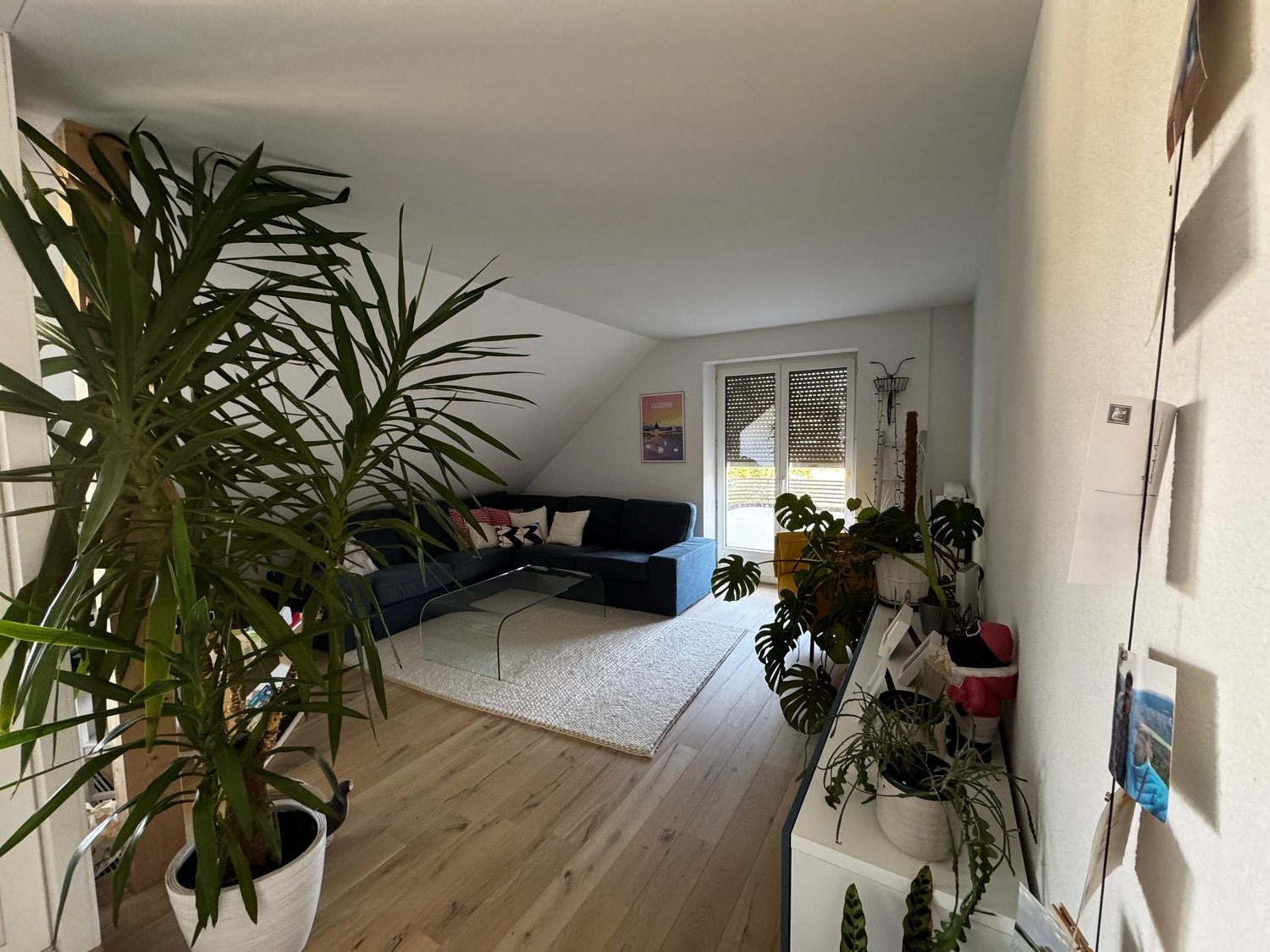 appartamento arredato di 4 ½ locali, foto 1 di 9