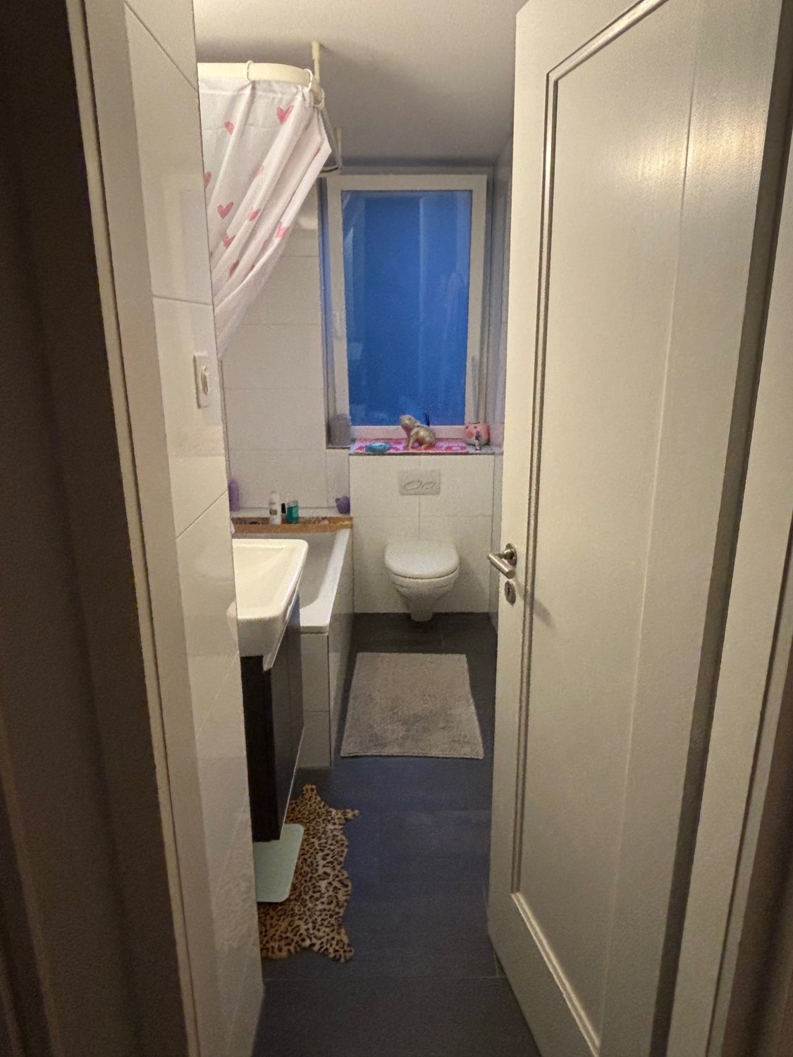 Appartement de 2 ½ pièces
