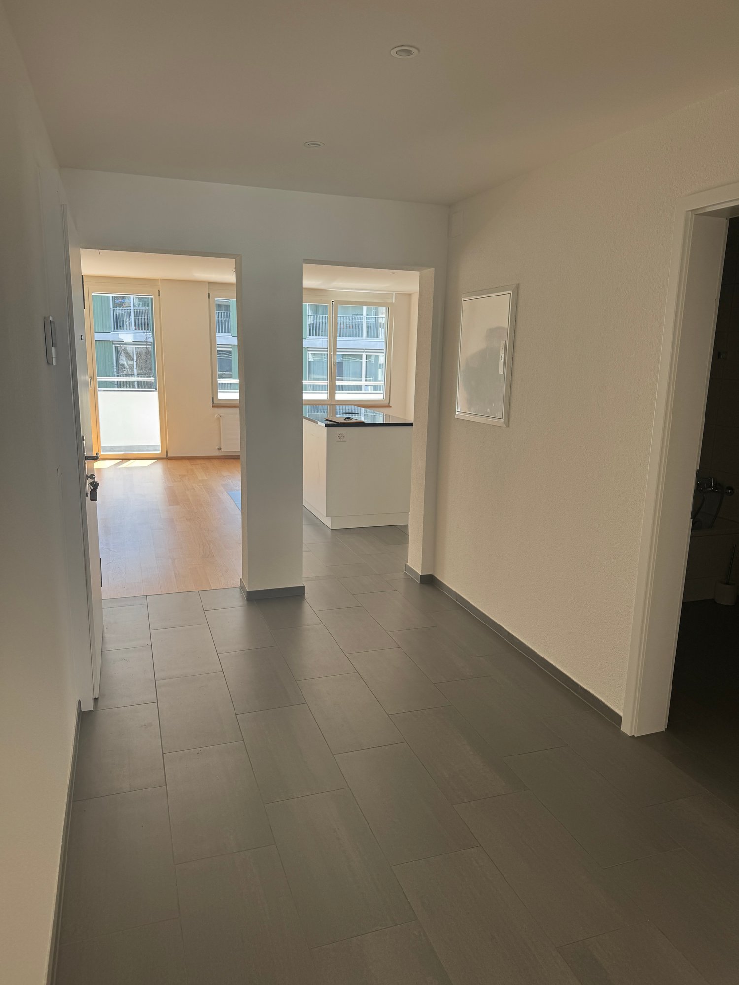 Appartamento di 3 ½ locali, foto 2 di 7