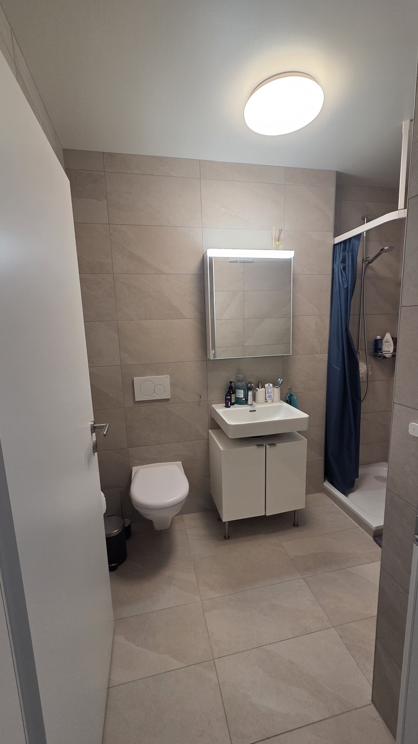 3 ½ Zimmer-Wohnung