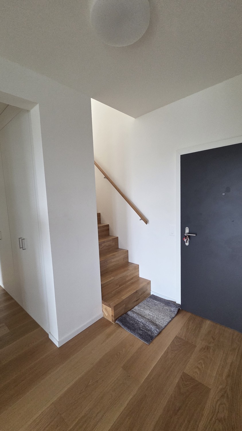 3 ½ Zimmer-Wohnung
