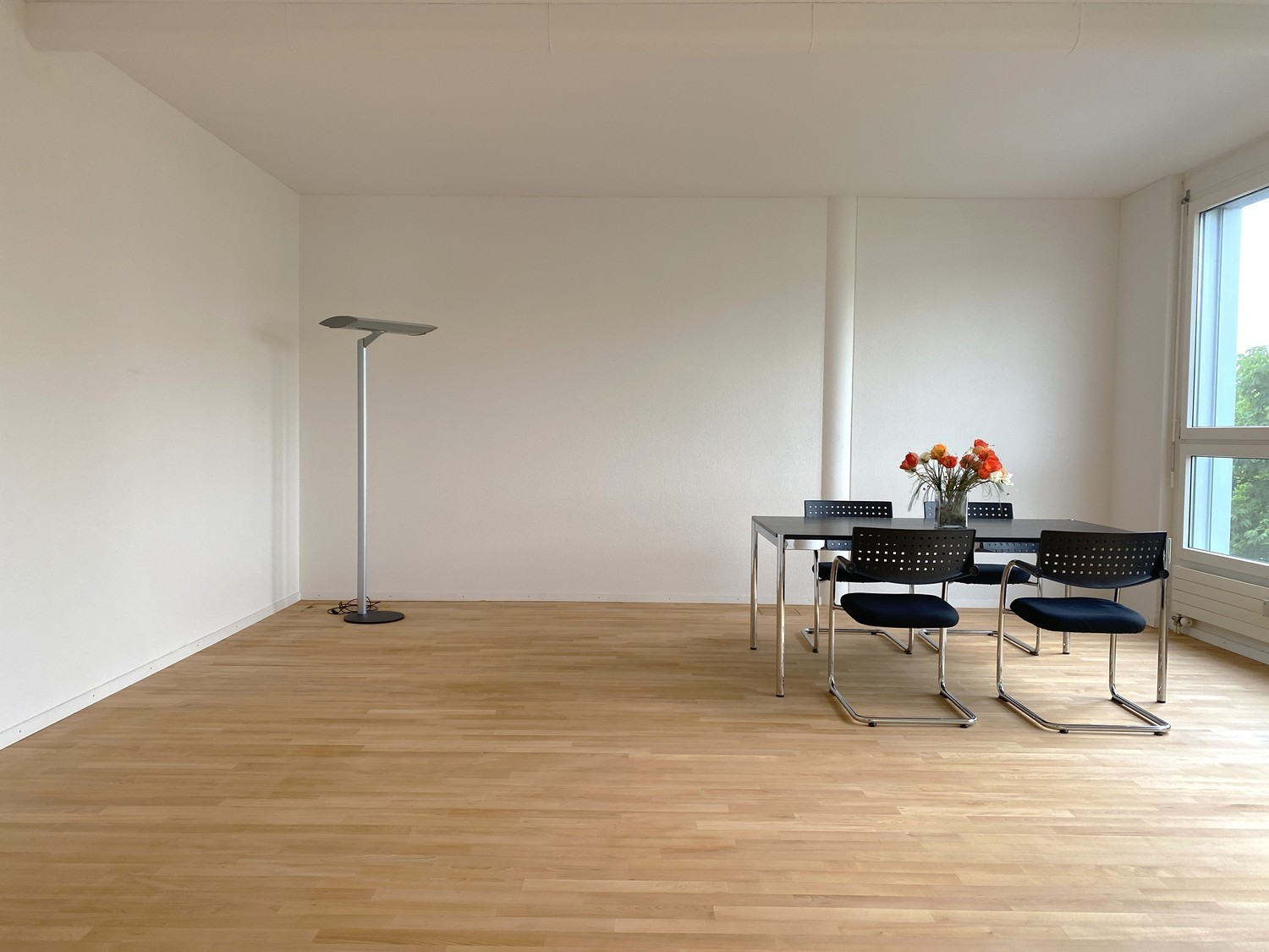 36m² office