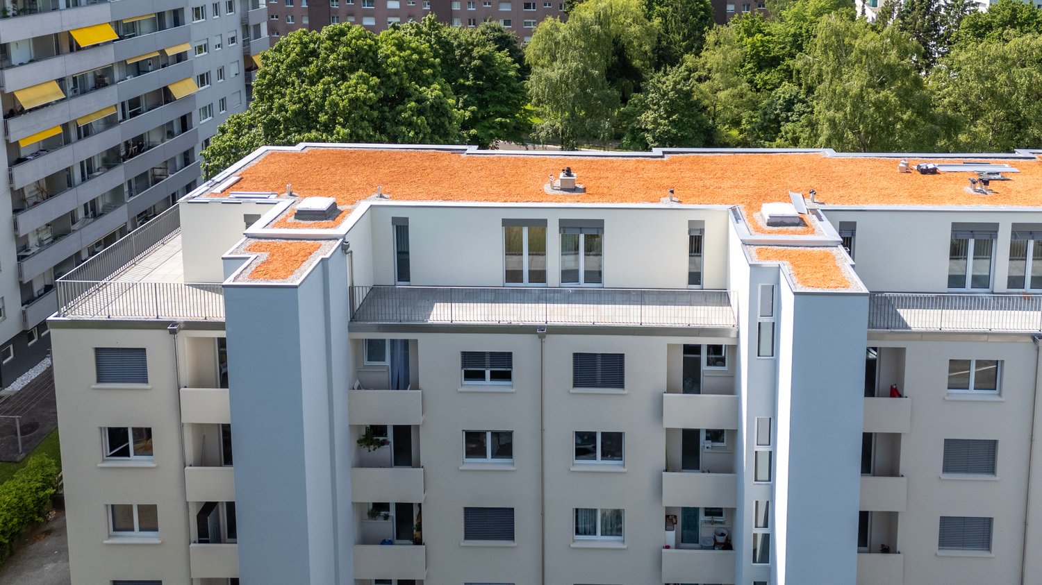 appartamento attico di 2 ½ locali, foto 9 di 10
