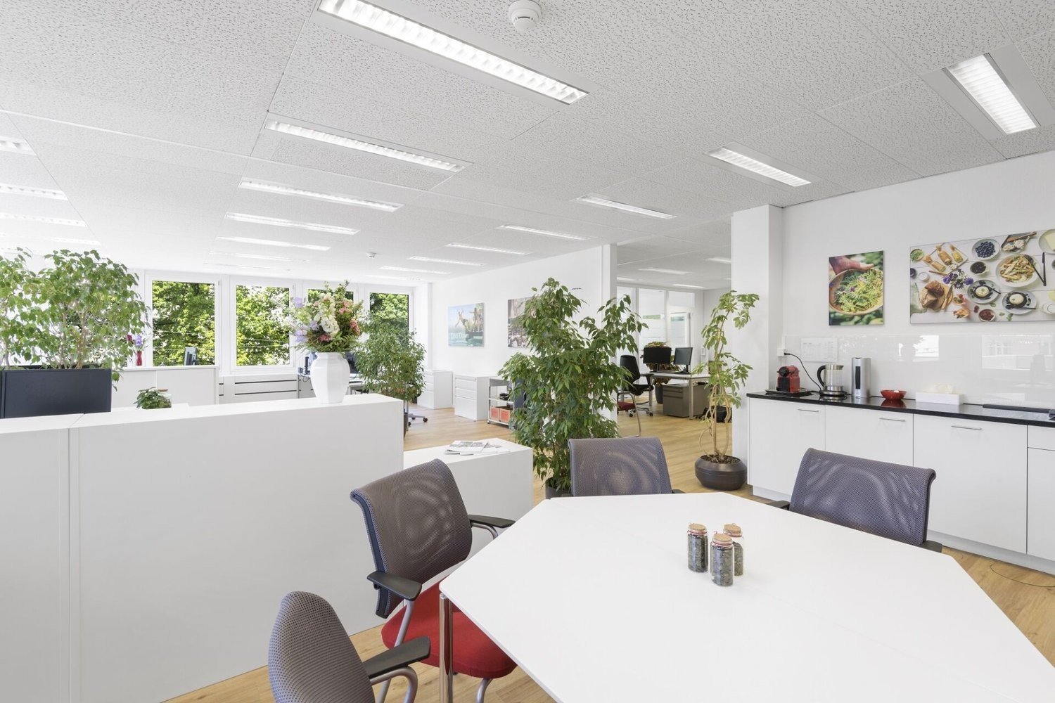 1149m² ufficio