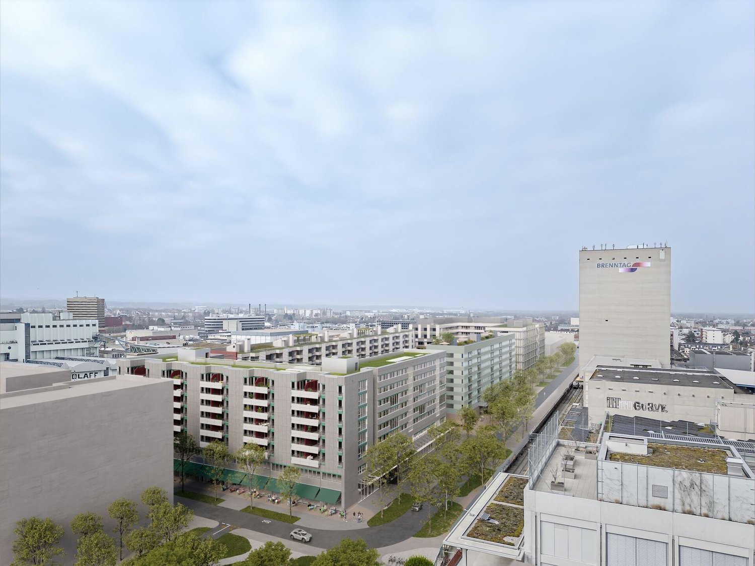313m² studio