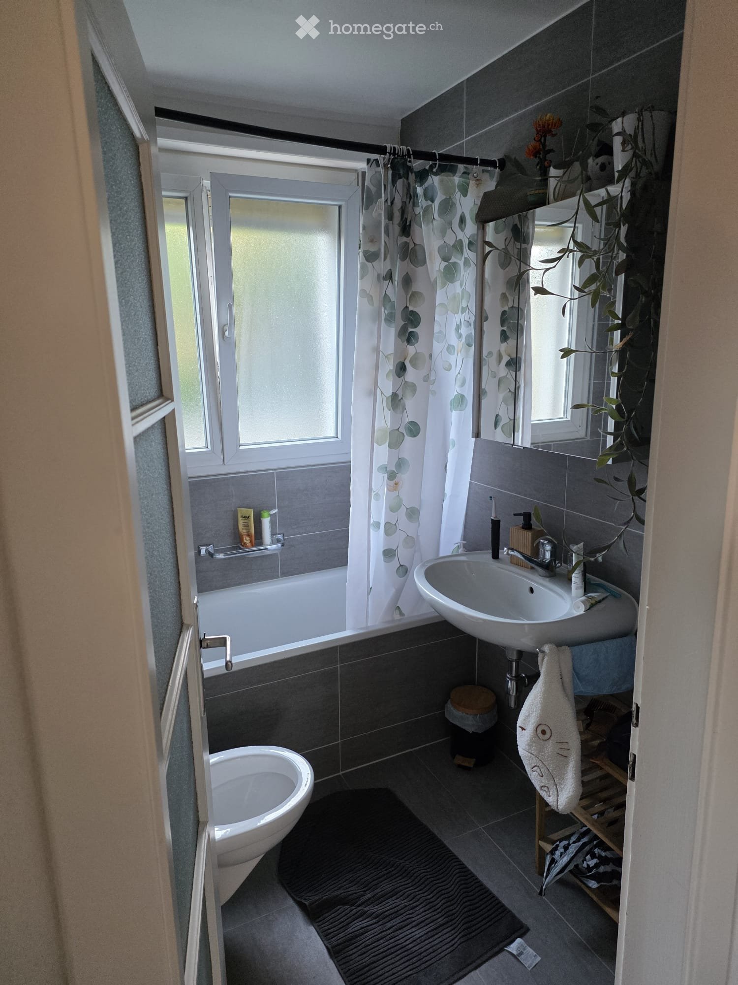 2 ½ rooms apartment