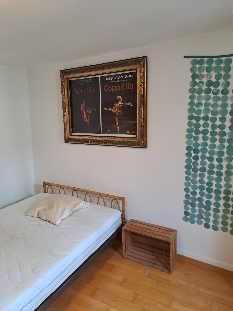 Room in a shared flat