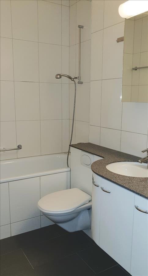 appartamento di 2 locali, foto 4 di 5