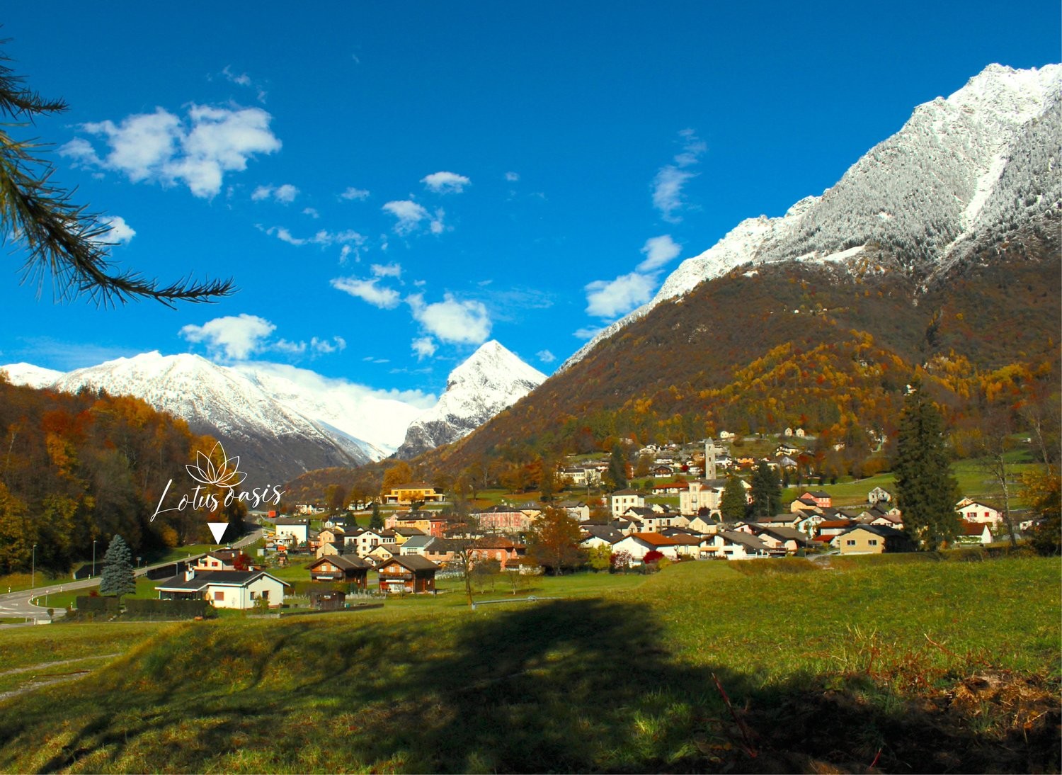 appartamento arredato di 2 ½ locali, foto 10 di 10