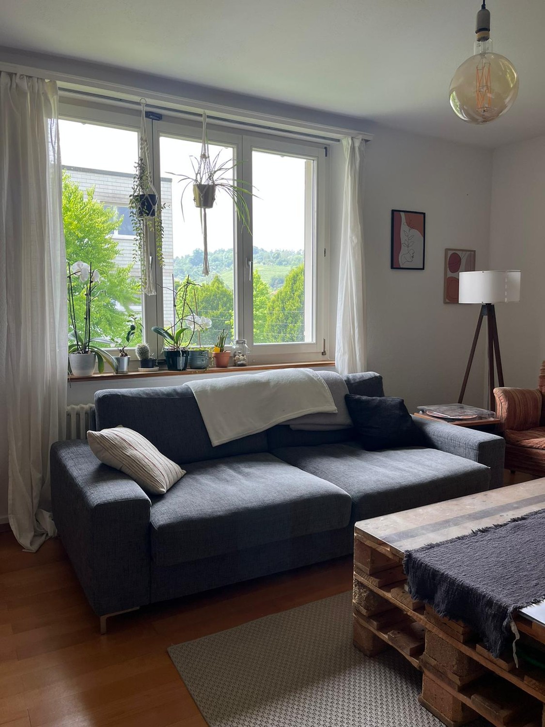 Room in a shared flat