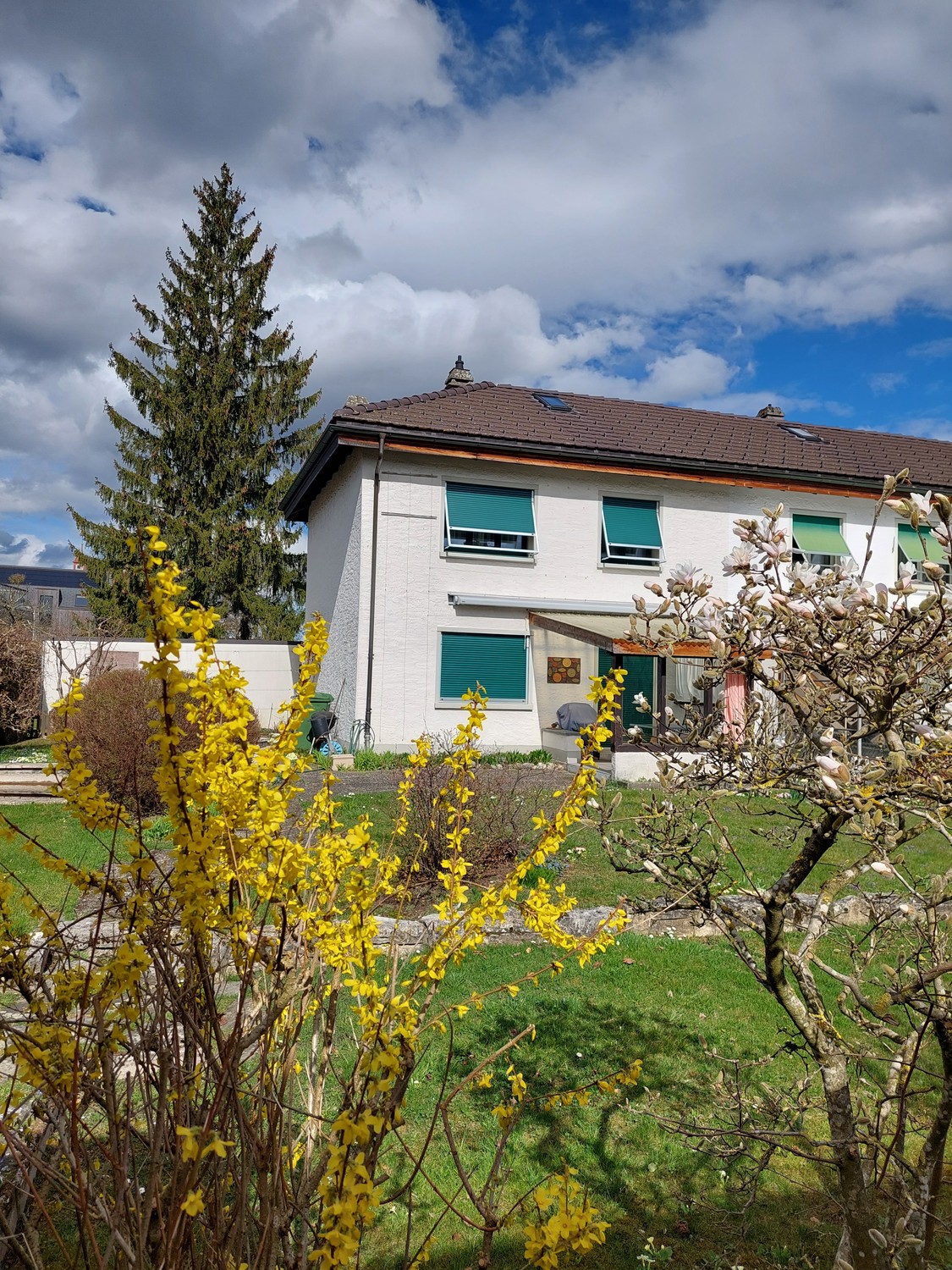 Casa singola di 3 ½ locali