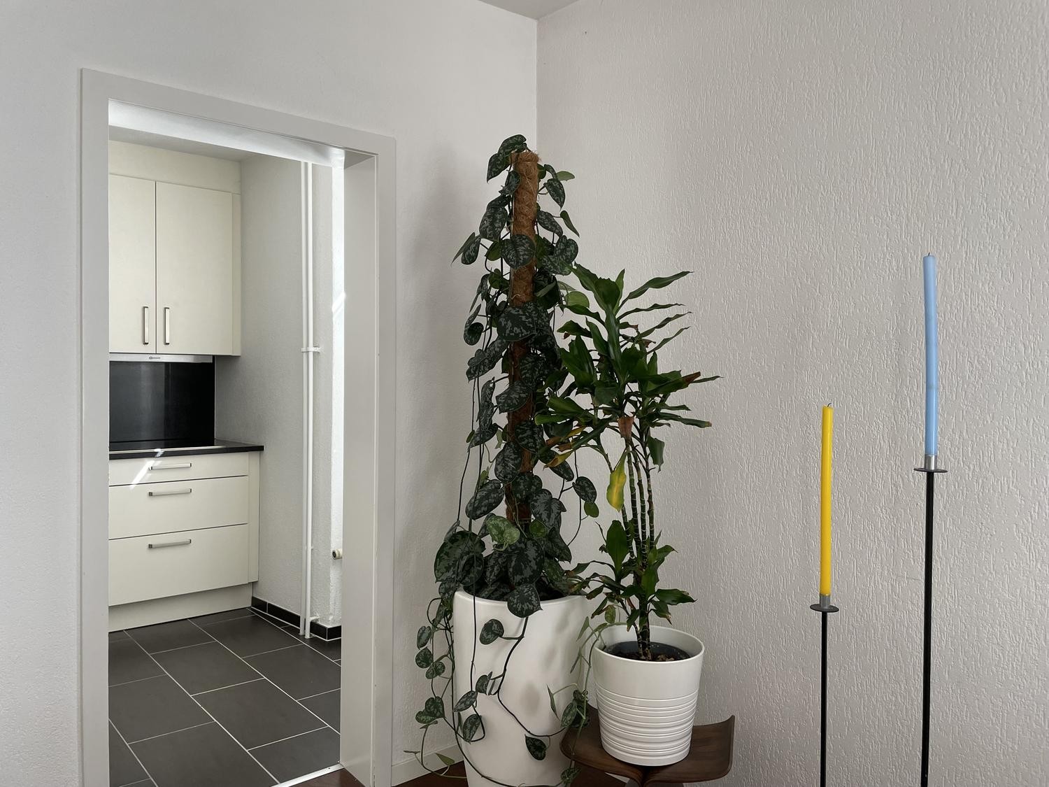 Appartamento di 2 ½ locali