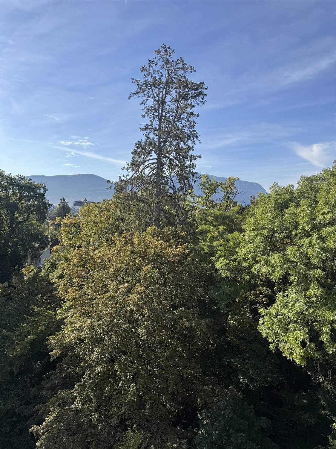Appartamento di 2 locali, foto 1 di 6