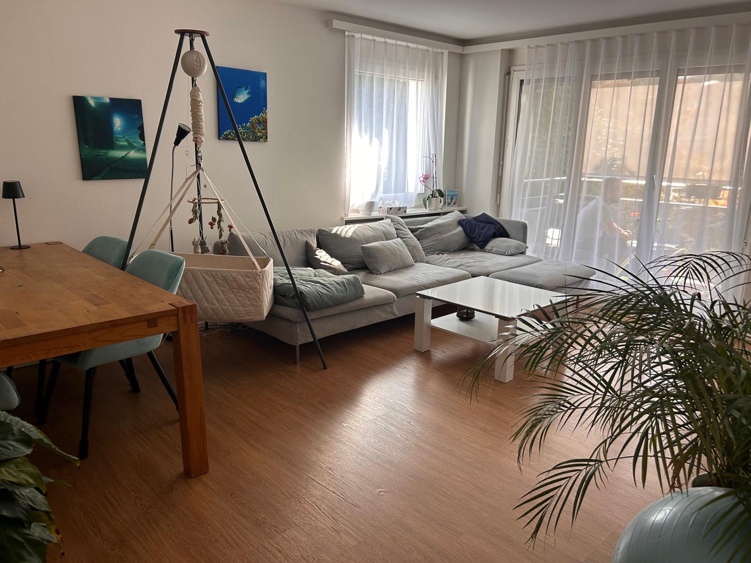Appartamento di 3 ½ locali