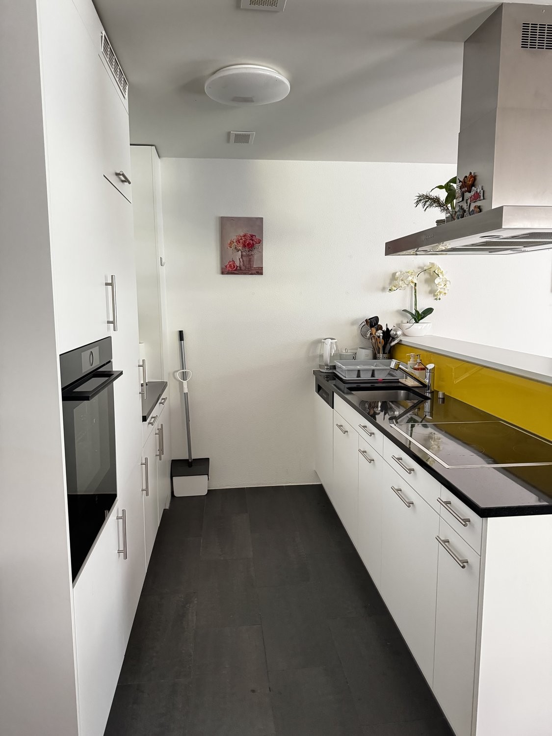 Appartamento di 5 ½ locali