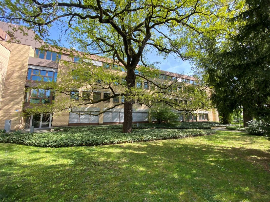 13m² office